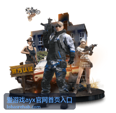 爱游戏ayx官网首页入口参与记录与结算结果核对示意图
